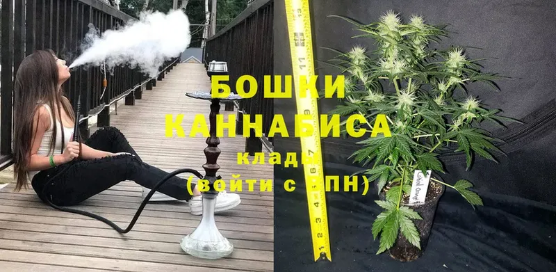 Каннабис White Widow  продажа наркотиков  Донской 